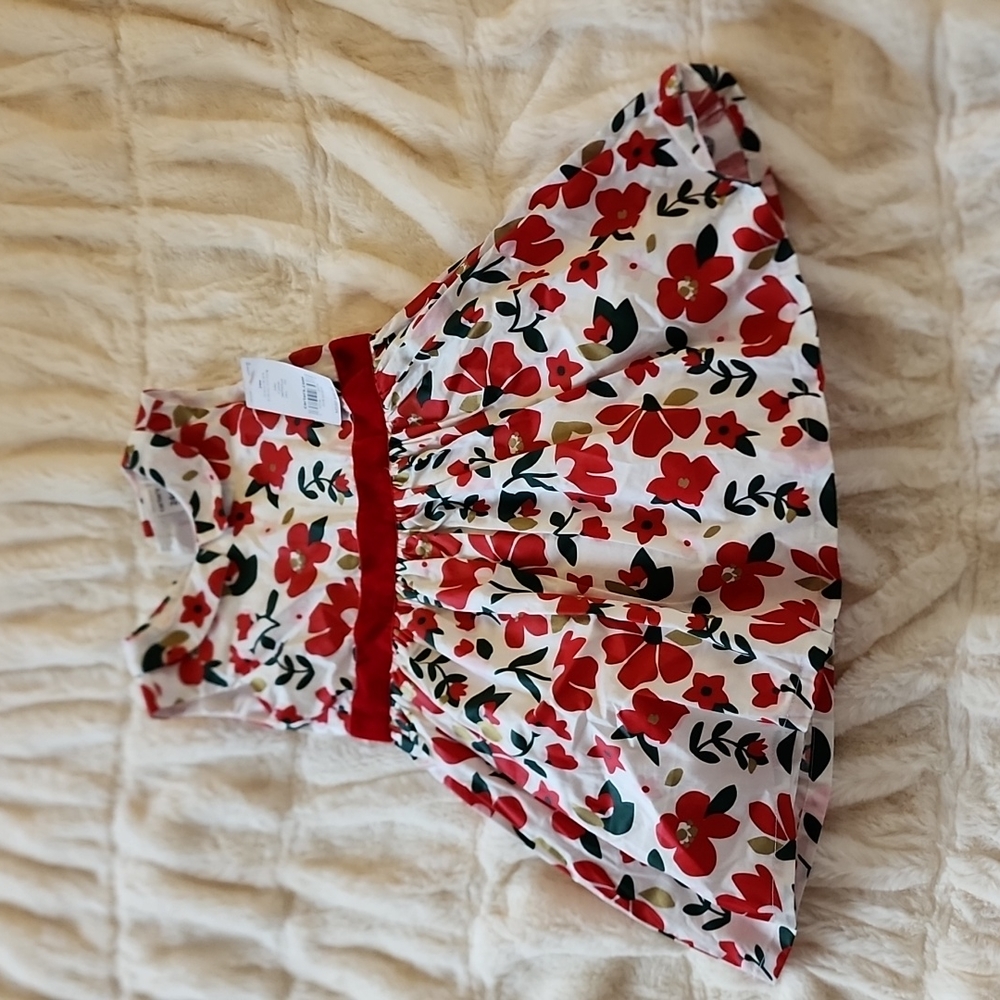 Carters dress NWT